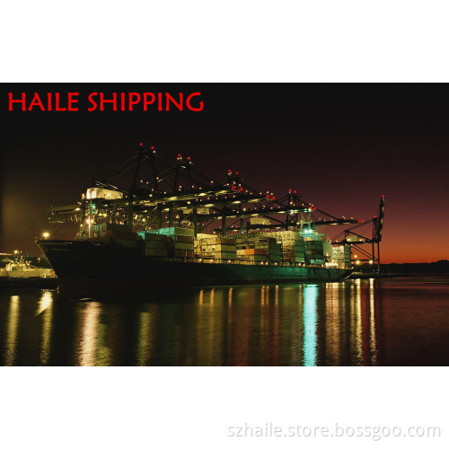 Good Price Sea Shipping From Shenzhen to Nhava Sheva